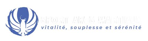 sport arts martiaux MMA bordeaux